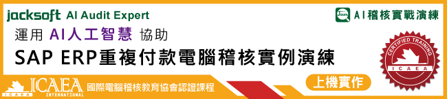 採購付款循環查核-SAP ERP重複付款電腦稽核實例演練