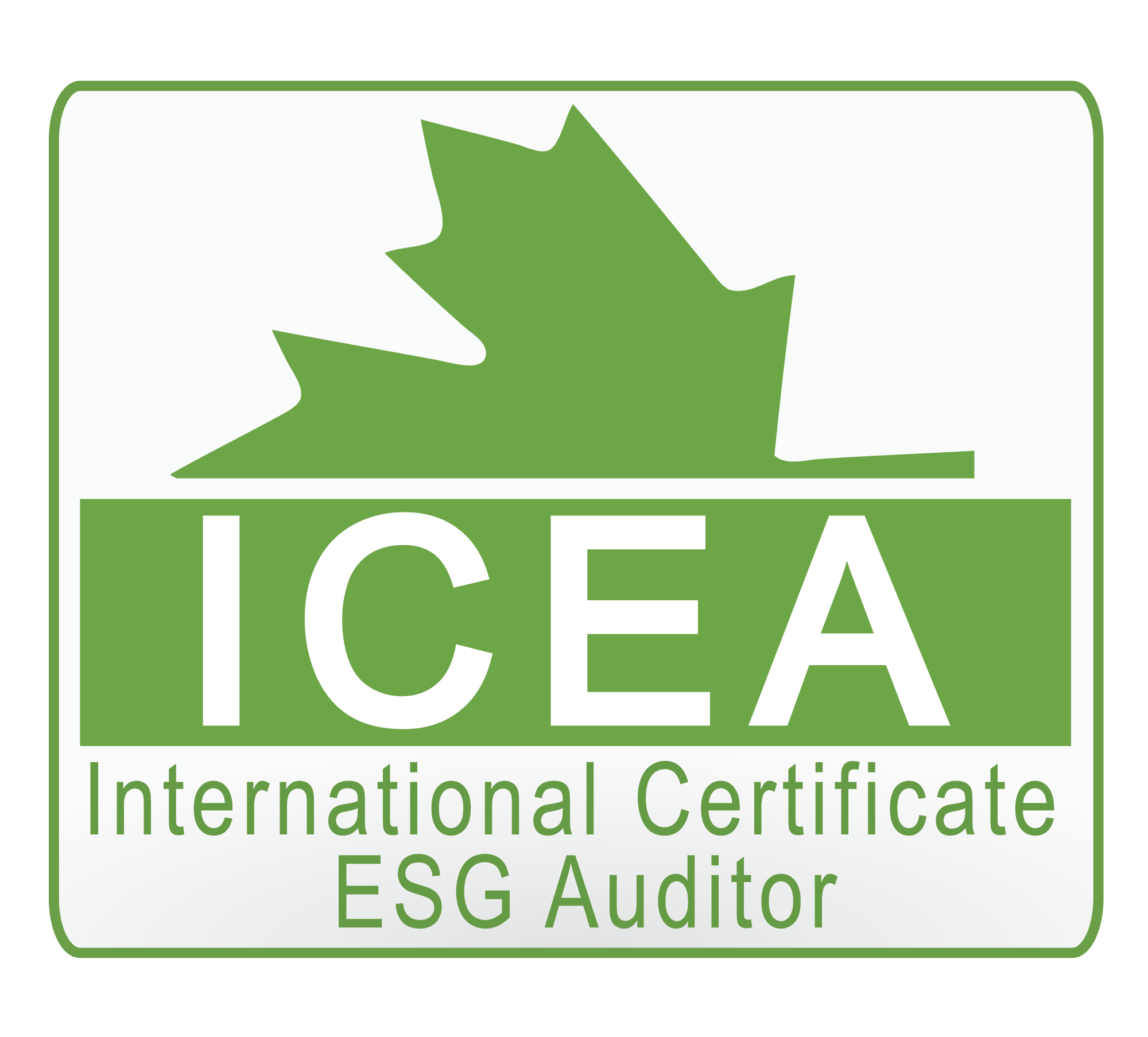 ICEA International Certificate ESG Auditor