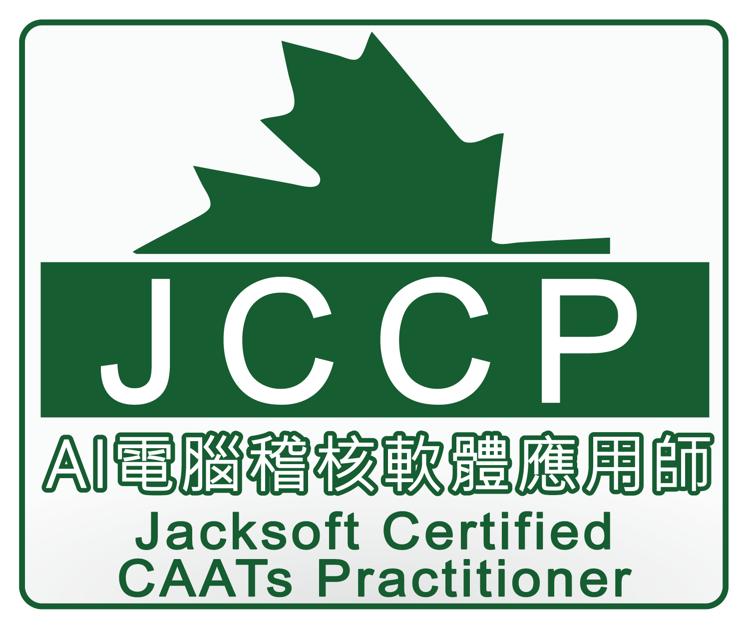 JCCP AI電腦稽核軟體應用師