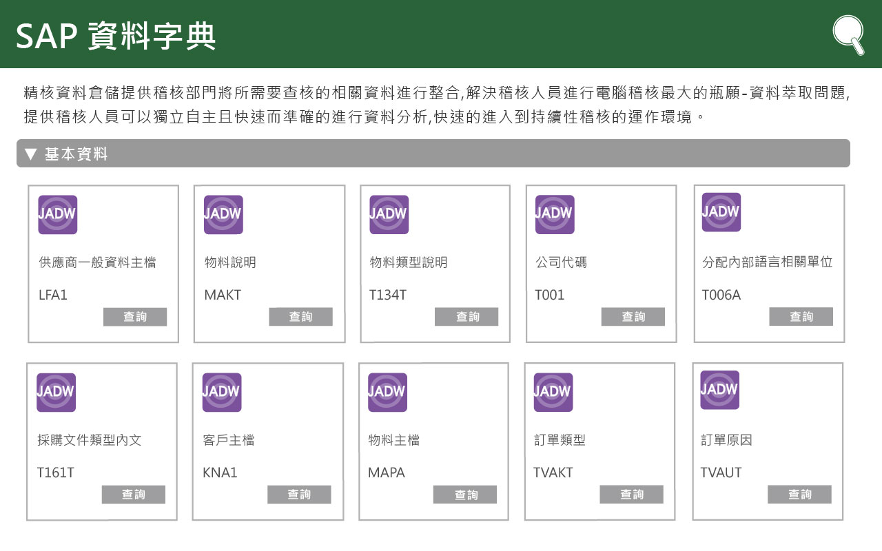SAP稽核資料字典系統